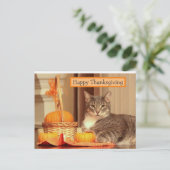 Bon thanksgiving avec carte de voeux pour chat (Debout devant)