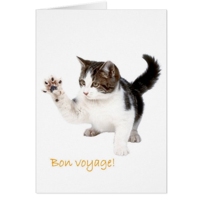 Bon Voyage ! (Devant)