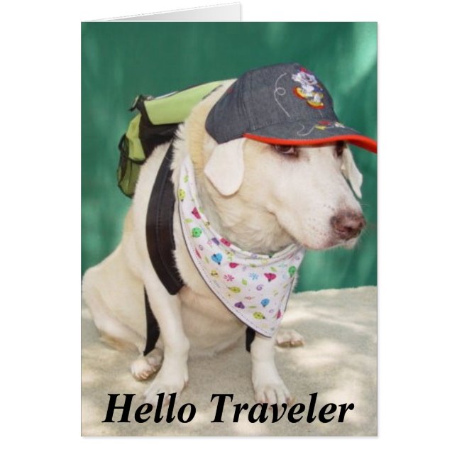 Bon Voyage (Voorkant)