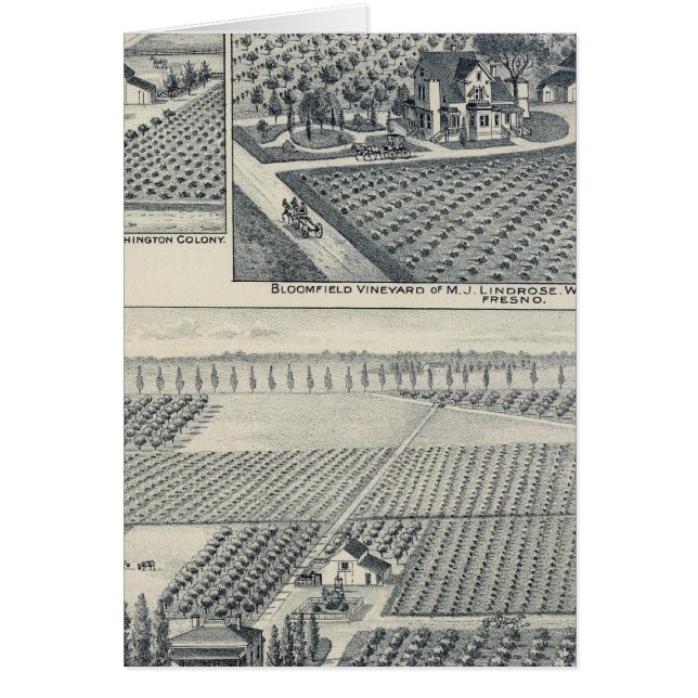 Bonacourt Ranch, Washington Colony, Californië (Voorkant)