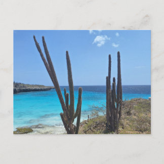 Bonaire Seaview Briefkaart