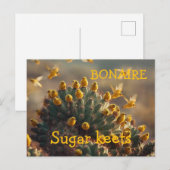 Bonaire sugarkeets briefkaart (Voorkant / Achterkant)