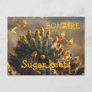 Bonaire suikervogels briefkaart