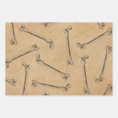 bonanatomische papierbladen inpakpapier vel (Voorkant)