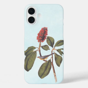Bonaparte Flycatcher Canada Warbler Audubon Bird iPhone 16 Plus Hoesje