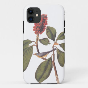 Bonaparte Flycatcher Canada Warbler Audubon Bird iPhone 11 Hoesje