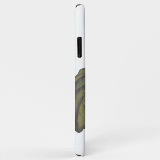 Bonaparte Flycatcher Canada Warbler Audubon Bird Case-Mate iPhone Case (Achterkant/rechts)