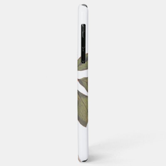 Bonaparte Flycatcher Canada Warbler Audubon Bird Case-Mate iPhone Case (Achterkant/links)