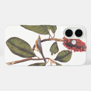 Bonaparte Flycatcher Canada Warbler Audubon Bird iPhone 16 Hoesje