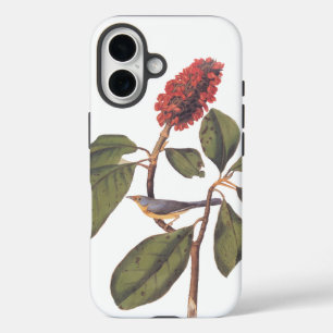 Bonaparte Flycatcher Canada Warbler Audubon Bird iPhone 16 Hoesje