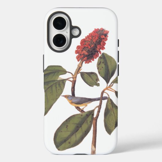 Bonaparte Flycatcher Canada Warbler Audubon Bird Case-Mate iPhone Case (Achterkant)