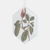 Bonaparte Flycatcher Canada Warbler Audubon Bird Glas Ornament (Voorkant links)