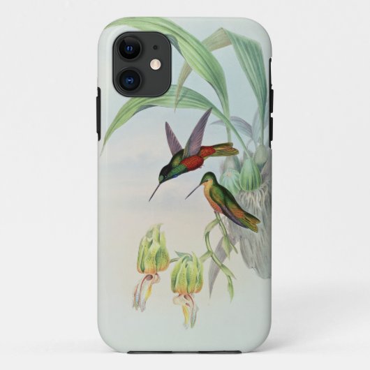 Bonaparte's Star Fronted Hummingbird (gekleurd) Case-Mate iPhone Case (Achterkant)