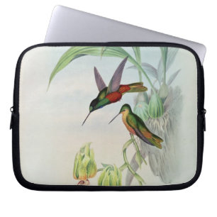 Bonaparte's Star Fronted Hummingbird (gekleurd) Laptop Sleeve
