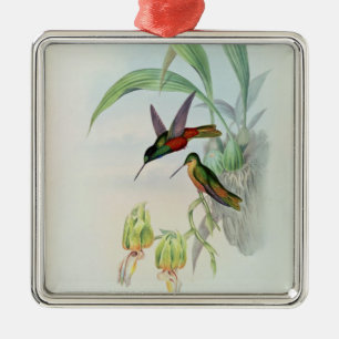 Bonaparte's Star Fronted Hummingbird (gekleurd) Metalen Ornament