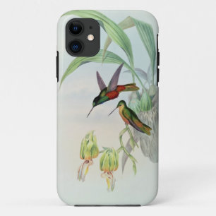 Bonaparte's Star-Fronted Kolibrie (gekleurde litho iPhone 11 Hoesje