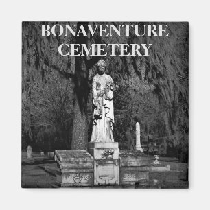 Bonaventure cemetera magnet magneet