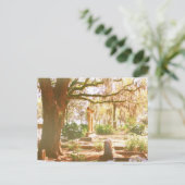 Bonaventure Cemetery Briefkaart (Staand voorkant)