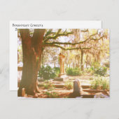 Bonaventure Cemetery Briefkaart (Voorkant / Achterkant)