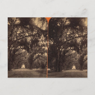 Bonaventure Cemetery, Savannah, Ga c. 1886 Briefkaart