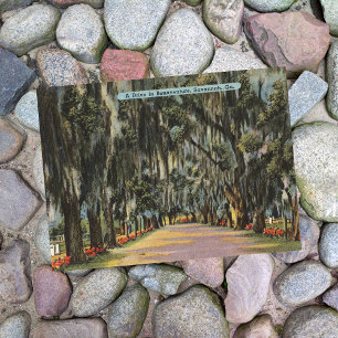 Bonaventure Drive Savannah GA retro Briefkaart