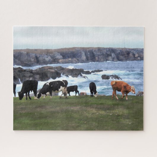 Bonavista Newfoundland Cattle Legpuzzel (Horizontaal)