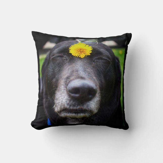 Bonbon d'équipe le coussin de chien de Meme (Recto)