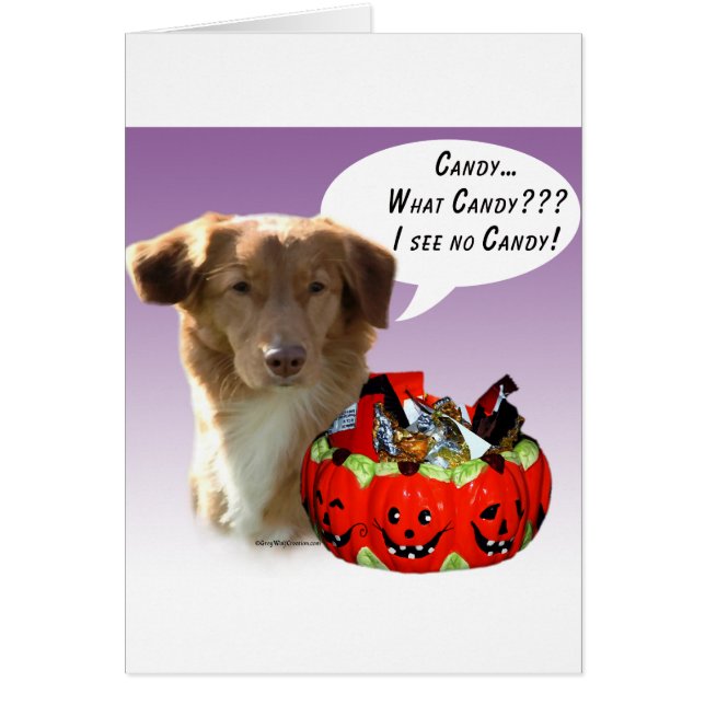 Bonbons d'Halloween de la Nouvelle-Écosse (Devant)