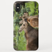 Bonded Moose Calves Case-Mate iPhone Case (Achterkant)