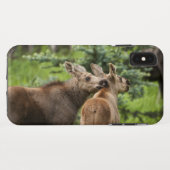 Bonded Moose Calves Case-Mate iPhone Case (Achterkant (horizontaal))