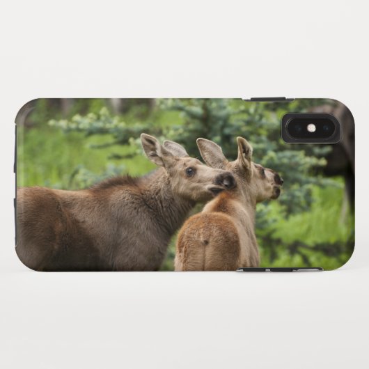 Bonded Moose Calves Case-Mate iPhone Case (Achterkant (horizontaal))