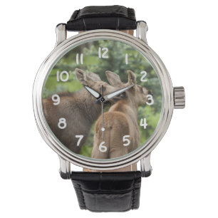 Bonded Moose Calves Horloge