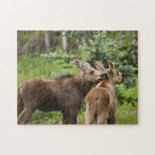 Bonded Moose Calves Legpuzzel