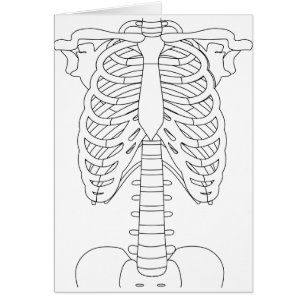 bone_01