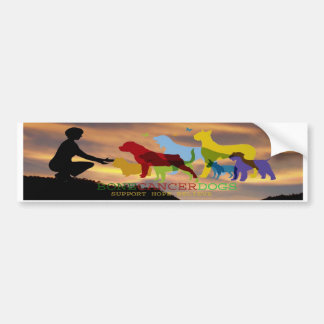 Bone Cancer Dogs Colorado Sky Bumpersticker