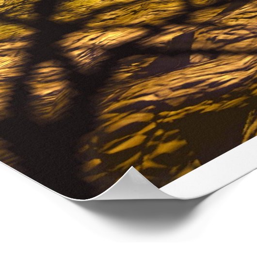 Bone Dance Poster (Hoek)