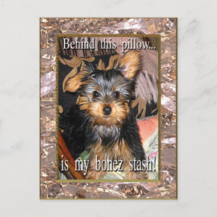 Bone Stash Yorkie Briefkaart