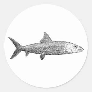 Bonefish Logo Ronde Sticker