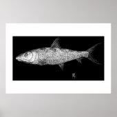 Bonefish Scratch art Poster (Voorkant)