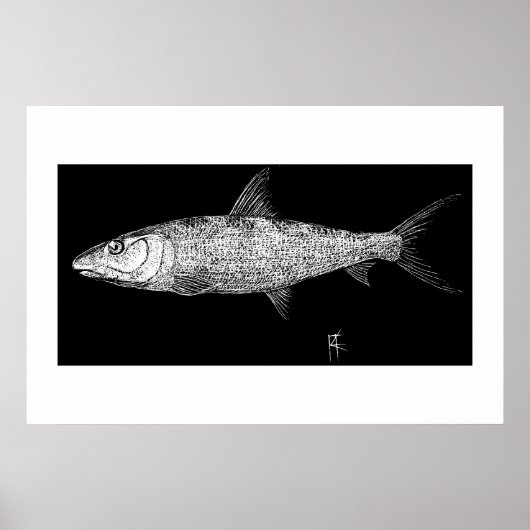 Bonefish Scratch art Poster (Voorkant)