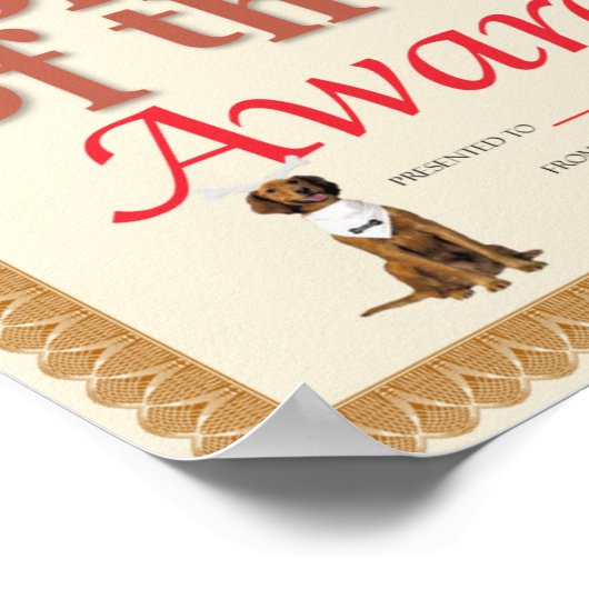 Bonehead-gunningscertificaat Poster (Hoek)