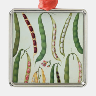 Bonen Metalen Ornament