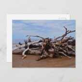 Boneyard Beach Briefkaart (Voorkant / Achterkant)