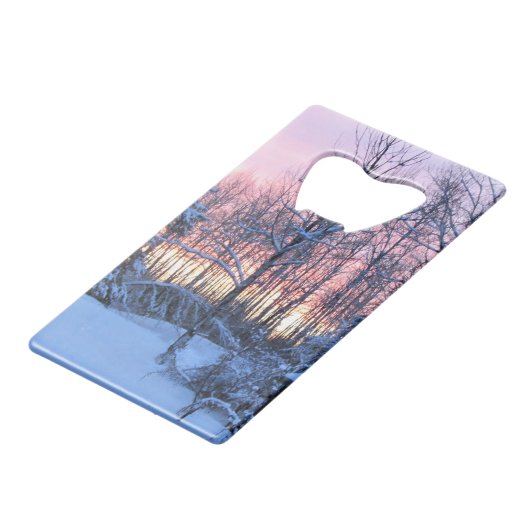 Bonfire !  Mn Nord (Dos Angle)