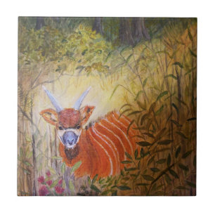 Bongo Antelope tekenen Tegeltje