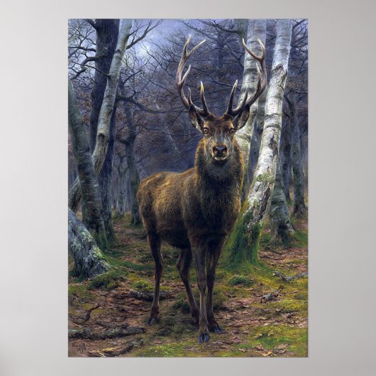 Bonheur - de koning van het bos poster (Voorkant)