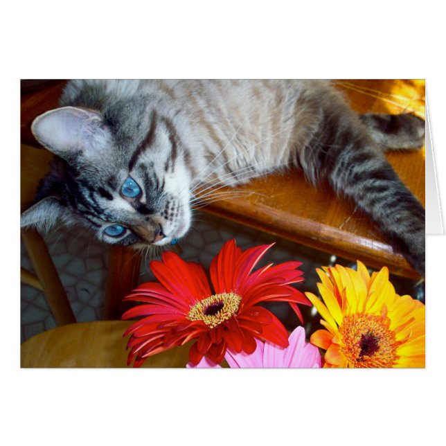 Bonheur de la fleur de Louie (Devant horizontal)