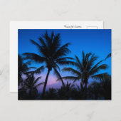 Bonheur de l'heure bleue : Carte postale de palmie (Devant / Derrière)