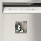 Bonheur Kitten Magnet (In Situ (Lave-vaisselle))