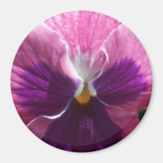 Bonheur Magneet (Voorkant)